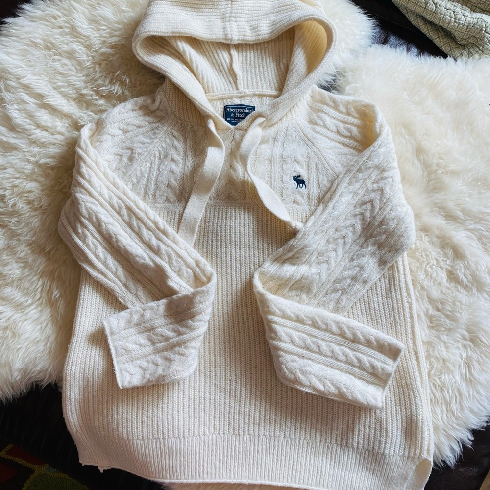 abercrombie and fitch sweater hoodie